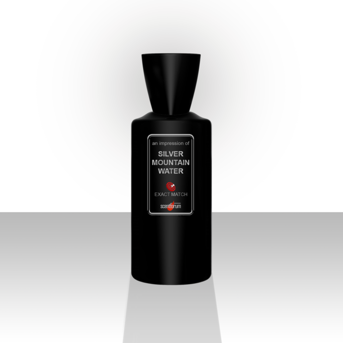 SILVER MOUNTAIN WATER BY CREED for men