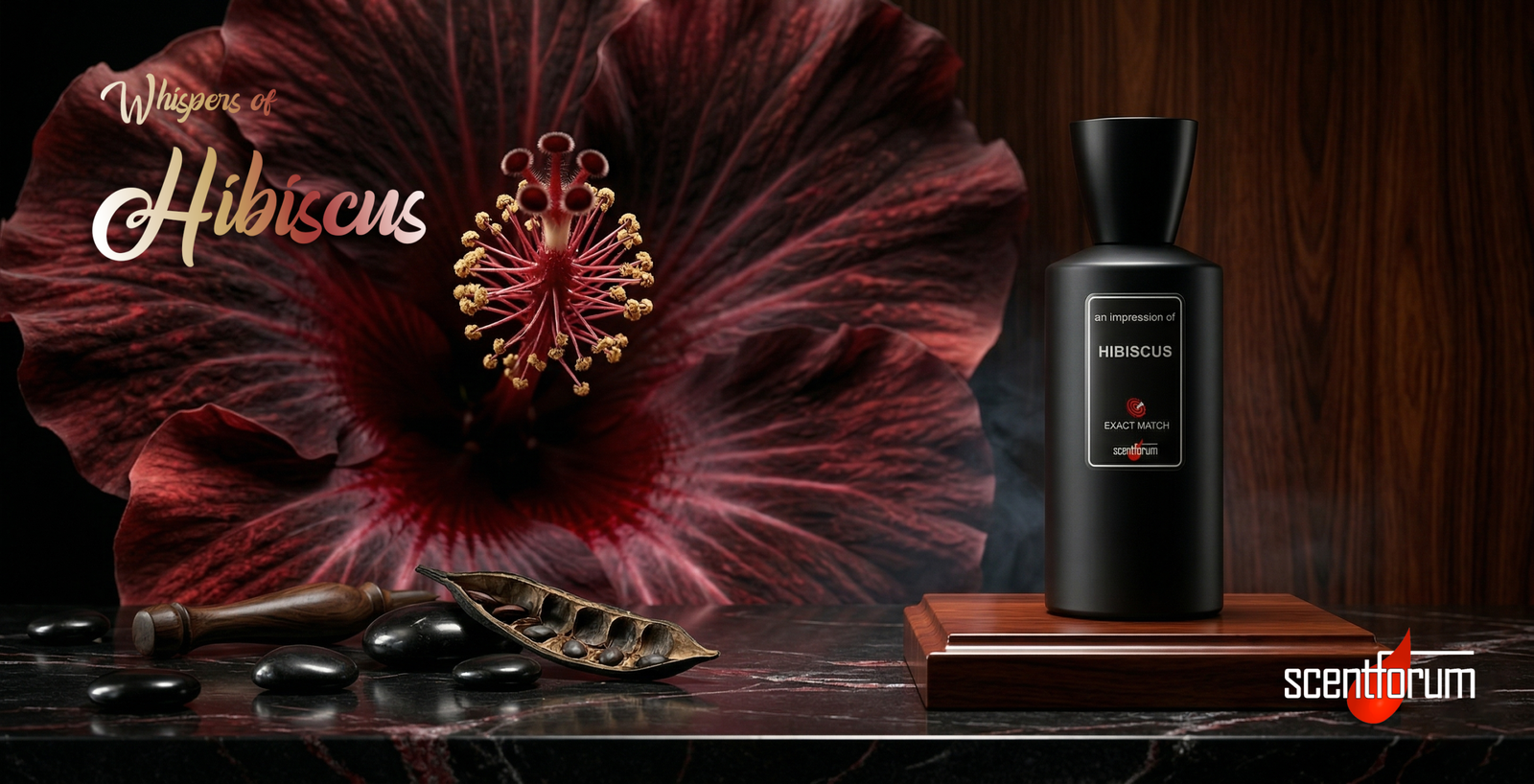 Hibiscus Mahajad By Maison Crivelli